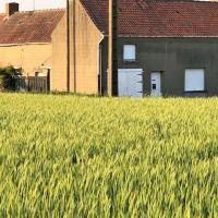 Grande maison à rénover à la campagne Grande maison à rénover à la campagne