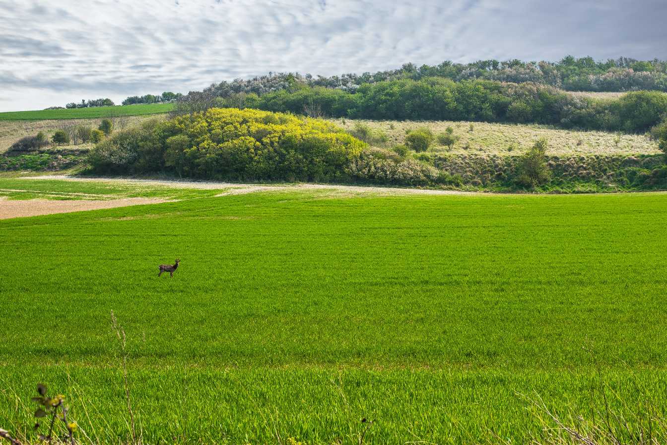 bien-preparer-son-achat-immobilier-en-hauts-de-france-2
